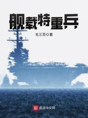 舰载特重兵书